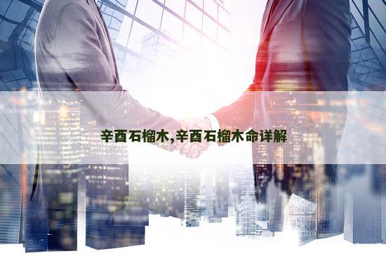 辛酉石榴木,辛酉石榴木命详解 辛酉石榴木,辛酉石榴木命详解