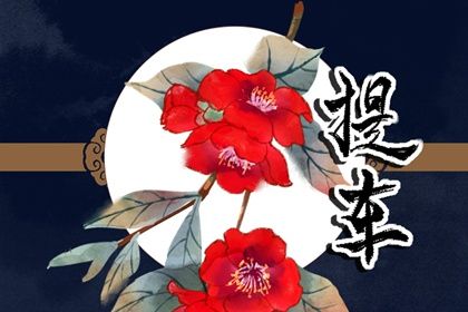 2026年02月14日提车日子如何 提车买车吉利吗