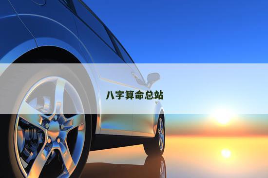 八字算命总站