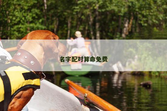 名字配对算命免费