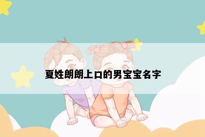 夏姓朗朗上口的男宝宝名字