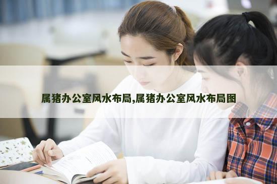 属猪办公室风水布局,属猪办公室风水布局图